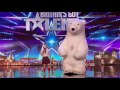 Vadik and the bears britains got talent 2016