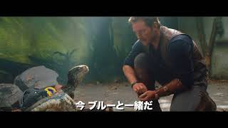 『ジュラシック・ワールド／炎の王国』”恐竜の日”スポット映像