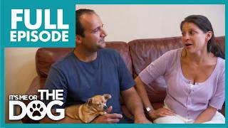 Their Dogs Are Tearing The Marriage Apart | S3 E9 | Its Me Or The Dog US