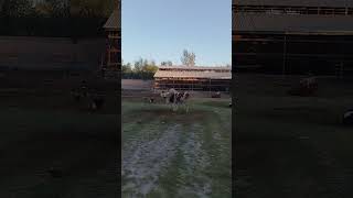#qirgizston #horse #chorvaolami #chorva #chorva_trend #turkey #tojikiston #russia