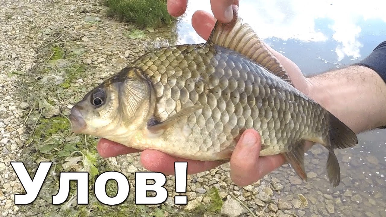 Рыбалка Николаев Константиновка С мостика на поплавок - YouTube