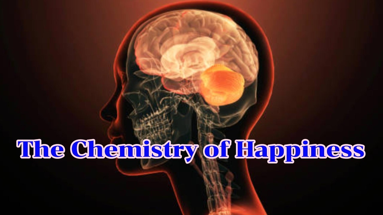Happiness Chemistry 101: Do you know the 4 Happy Chemicals Your Brain Makes- the Feel-Good Chemicals