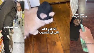 أفضل دوبلاج للحيوانات ج16