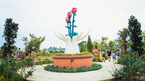 Khu Du Lịch Vườn Hồng Tư Tôn - Đà Lạt Thu Nhỏ Giữa Lòng Đồng Tháp | T&P Travel