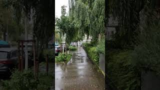 Walking in the Rain in Zurich | Veritero's Authentic Swiss Journeys screenshot 2