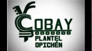 Cobay Plantel Opichén