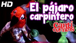 El Pájaro Carpintero, Canticuentos, Capitulo 19 - Mundo Canticuentos