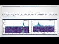 Квазипериодические килогерцовые осцилляции в гамма-всплесках