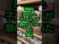 再婚を反対した子どもたちが、父の言葉に涙した日 #人生のお便り#人生の知恵#実話エピソード