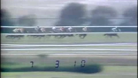 1983年沙田錦標 (同德負150磅造1:33.3贏馬) - 天天要聞