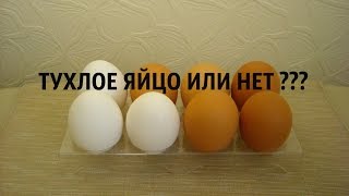 КАК ПРОВЕРИТЬ ТУХЛОЕ ЯЙЦО ИЛИ НЕТ Эксперименты дома