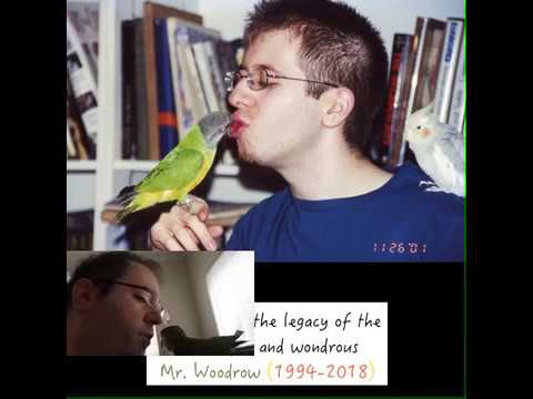 Tribute to My Senegal Woodrow (1994-2018)