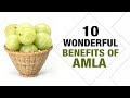 10 Wonderful Benefits of Amla - Nidhi Mohan Kamal - Diet Talk