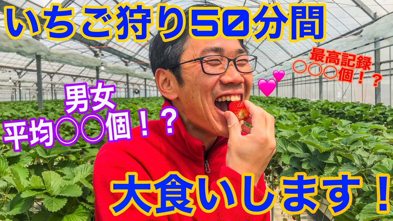 Happiness] A strawberry farmer eats a huge amount of strawberries 