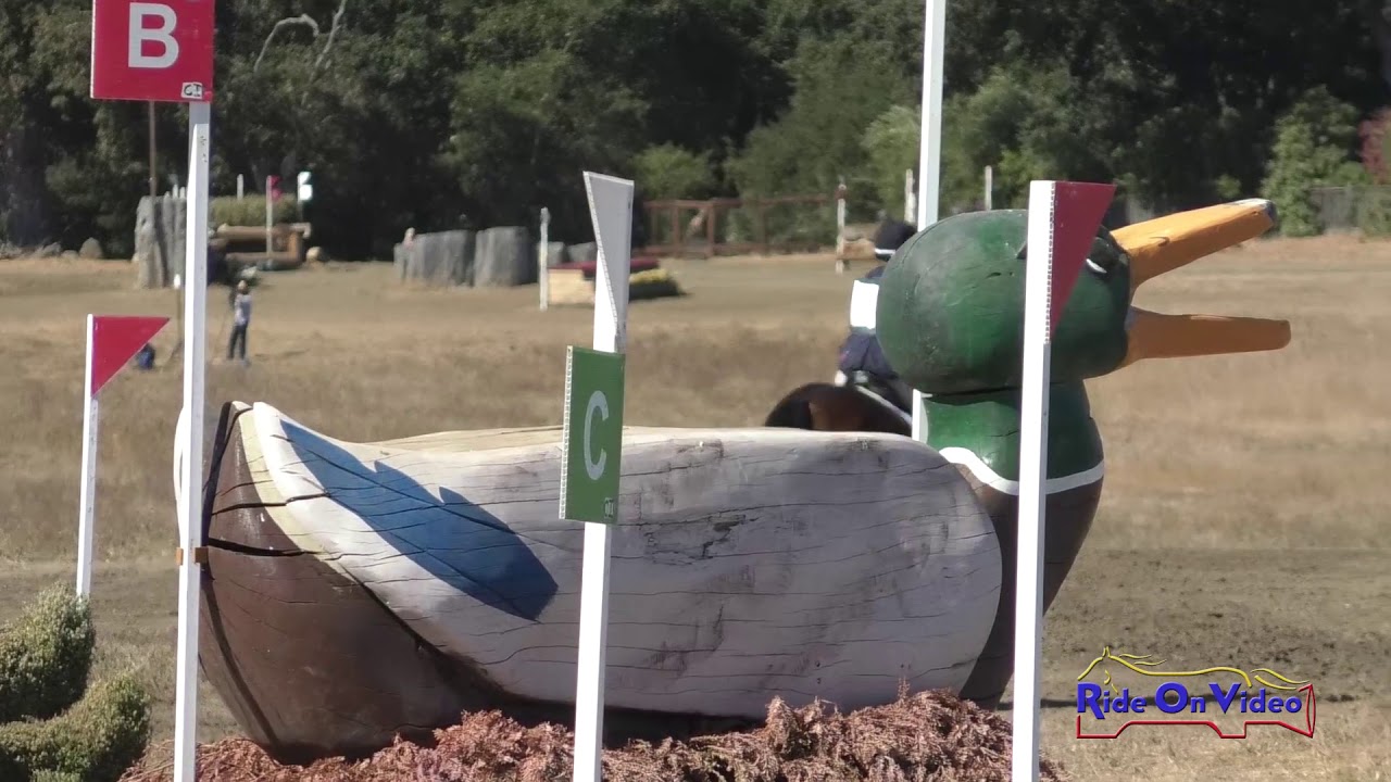 horseshoe bend 072XC Megan McIver on Quintessence CCI2* Short Cross Country Woodside Oct. 2019