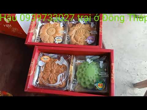 Video Bán chồn lứa hậu bị về Long Thành - Đồng Nai, cám ơn... - youtube