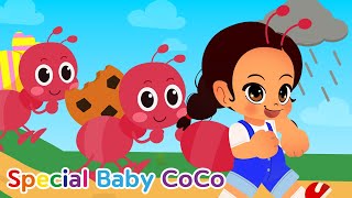 🐜 The Ants Go Marching + More Nursery Rhymes & Kids Songs - Special Baby Coco