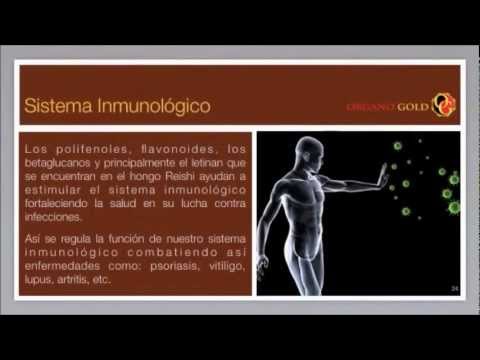 Cafe organo gold sirve para bajar de peso