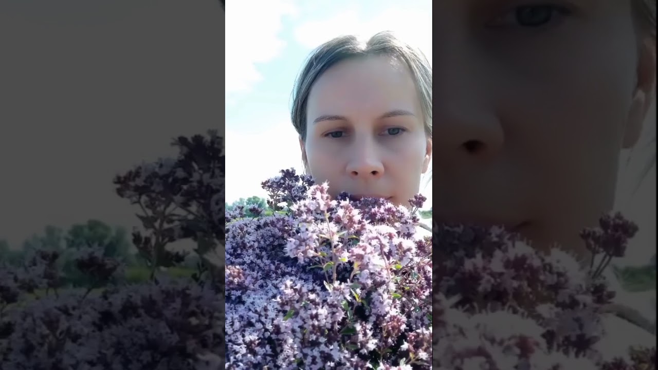 #самыйвкусный