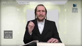 הדף היומי מסכת בכורות דף טז