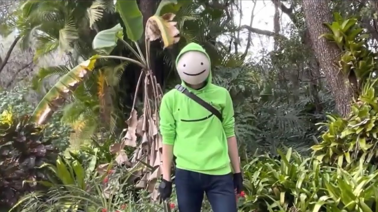 Dreams Face Reveal in MrBeast Rewind 2020