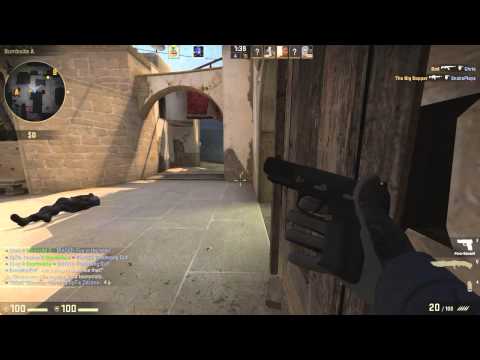 Snake Gets a Headshot