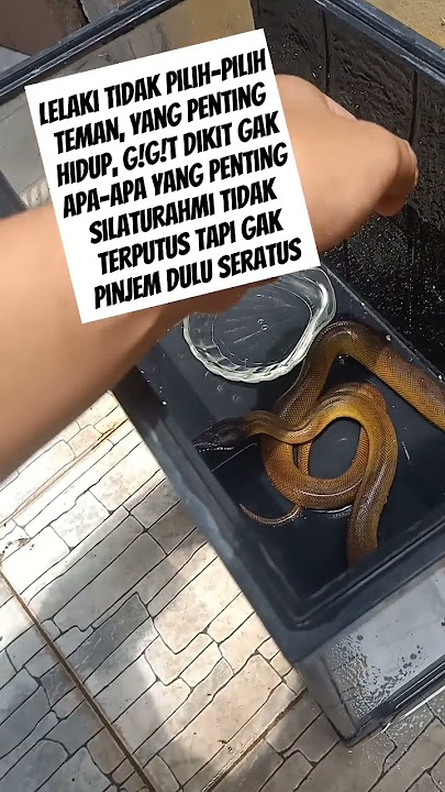 Teman itu siapa aja dan darimana aja jangan pandang bulu Yang terpenting silaturahmi tidak terputus