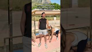 Cuando estás en la calle y te encuentras con un Therian.