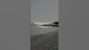 سورة العاديات كاملة...#قرآن #quran #الله #explore