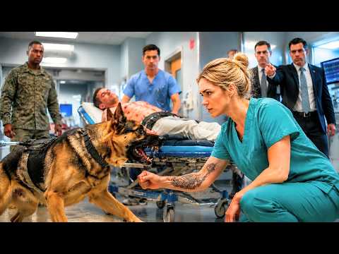K9 Blocked Every Doctor—Until a Rookie Nurse’s Tattoo Revealed Her Hidden Military Skill