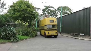 Unique open-top Bournemouth trolleybus 202 (ALJ 986) and London 260 (CUL 260)