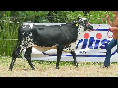 LOTE 33   FAZENDA CACHOEIRA   3359CG