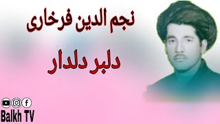 نجم الدین فرخاری (( دلبر دلدار )) آهنگ محلی افغانی // Najmuddin Farklari