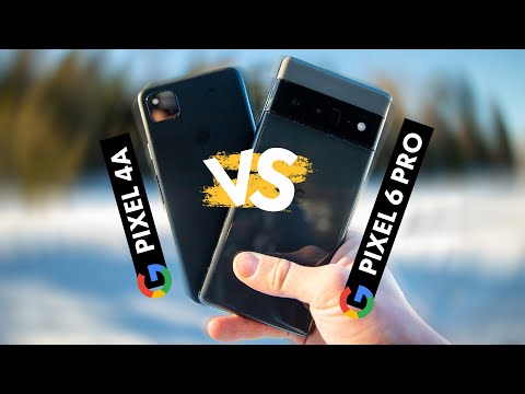 Google Pixel 6 Pro vs Google Pixel 4a // Is it better for photography in 2022?