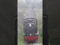 #ThrowbackThursday Talyllyn Railway 2018: Edwards Thomas steams past Hendy Halt. Full video 👆🏿