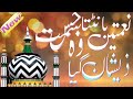 نعمتیں بانٹتا جس سمت وہ ذیشان گیا Kalame Ala Hazrat Mujahid Raza Ismaily Naat Shareef
