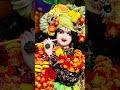 Kanha Kanha bole man#jaishreekrishna #yshorts #devotional @Piu-z5h