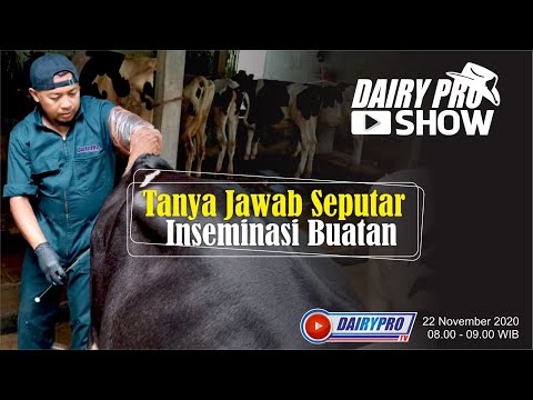 Video: Bahaya Utama Inseminasi Buatan Dinamai - Pandangan Alternatif