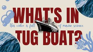How Tugboats Tow Massive Cruise Ships: Explained with Animation | The Science Explained #sea