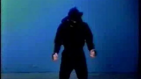 Judo Dog and the Dancing Ninja