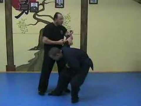 deadly martial arts techniques warning youtube