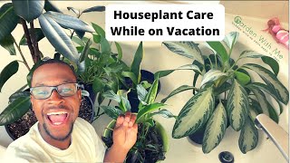 How to Care for Houseplants While Traveling!