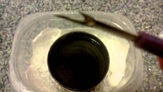 Lateralis roach egg incubator. P 1