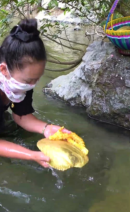 🔥🔥The golden pearl clam guarded by the golden dragon, breeding huge dragon beads