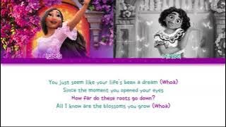 ENGCANTO SONG LYRICS - WHAT ELSE CAN I DO ?