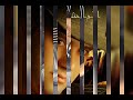 هاني الباشا دنيا القوة جديد 