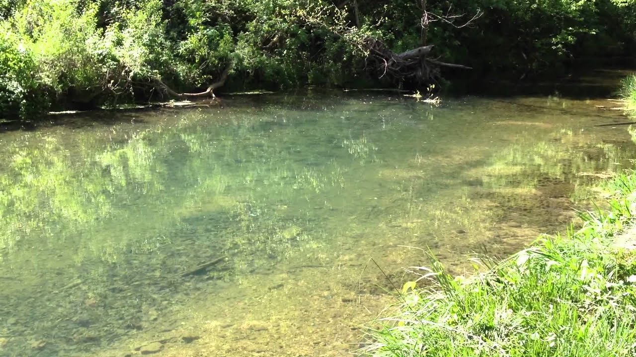 Crane Creek Trout Chase HD 1080p YouTube