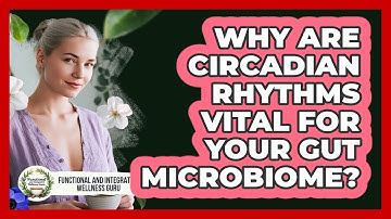 Why Are Circadian Rhythms Vital For Your Gut Microbiome? - Functional and Integrative Wellness Guru