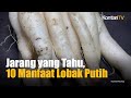 10 manfaat lobak putih untuk kesehatan yang jarang diketahui  kontan news