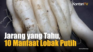 10 Manfaat Lobak Putih untuk Kesehatan yang Jarang Diketahui | Kontan News